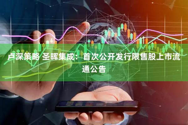 卢深策略 圣晖集成：首次公开发行限售股上市流通公告