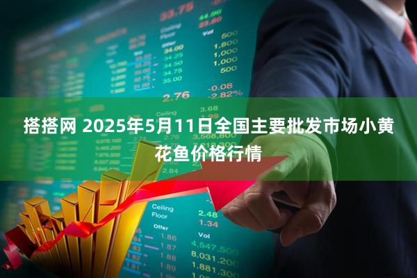 搭搭网 2025年5月11日全国主要批发市场小黄花鱼价格行情