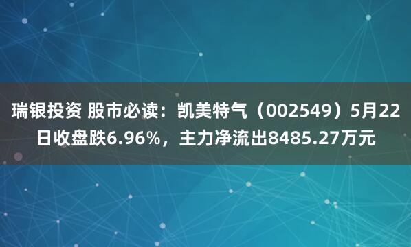 瑞银投资 股市必读：凯美特气（002549）5月22日收盘跌6.96%，主力净流出8485.27万元