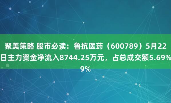 聚美策略 股市必读：鲁抗医药（600789）5月22日主力资金净流入8744.25万元，占总成交额5.69%